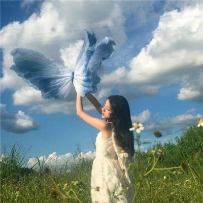 红色翅膀:火烈鸟故事