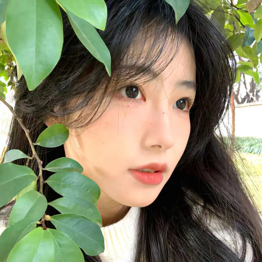 我的日记
